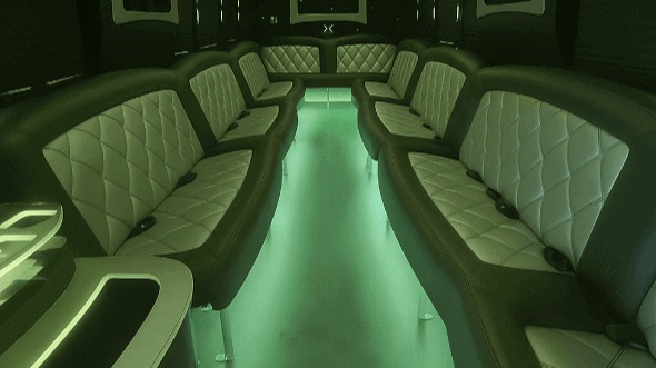 lewisville 25 passenger party bus rental