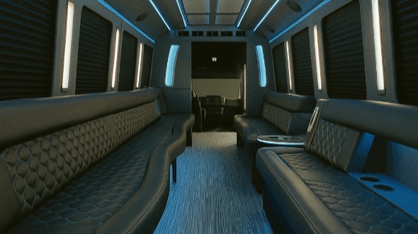 plano 20 passenger party bus